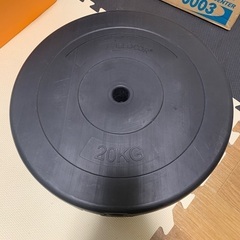 ダンベルプレート20kg　2枚の画像