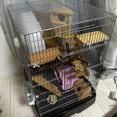 小動物飼育セット　の画像