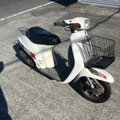 スパタクの画像