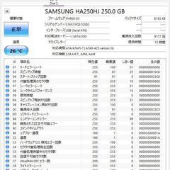 3.5インチ SATA HDD【HA250HJ】SAMSUNG（250GB、15時間、9157回）の画像