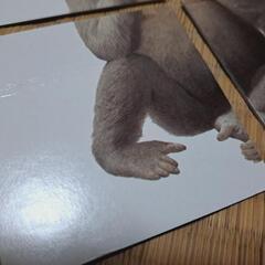 3歳、4歳向け　カード　2セットの画像
