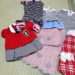 いぬの洋服の画像