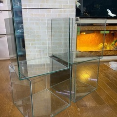 欠けがあったので値下げします。30cmキューブ水槽:4個の画像