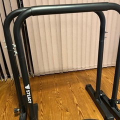 筋トレ（ディップスタンド & バランスドーム）の画像