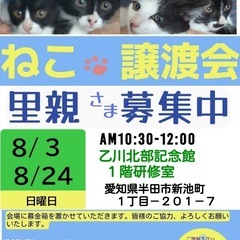 半田市猫の譲渡会