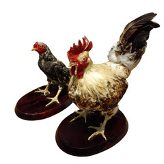 (中古)鶏の剥製 オブジェの画像