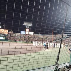 少年野球コーチ募集(ボランティア)