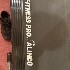 ALINCO FITNESS PRO の画像