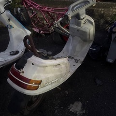 ホンダ タクト 50 不動 鍵なし 書あり 低走行の画像