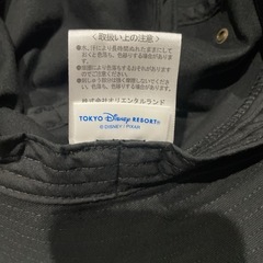 ディズニーハットの画像