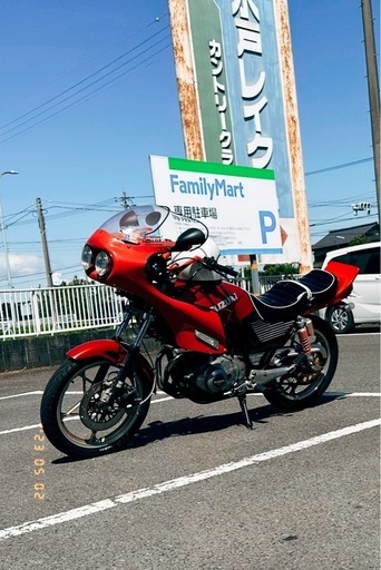 gsx250eゴキ