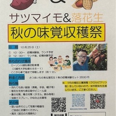 スイカの画像
