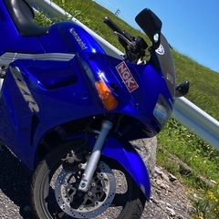 【新品未使用】ローカル　上クチビル　人間　そばかす付き　値下げしました！ オートバイのあれこれ『角Zのリバイバル。“漢カワサキ”のZRX