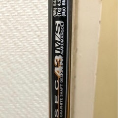 マジェスティゴルフ(旧マルマン) ドライバー レディース EXIM の画像