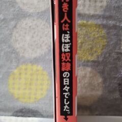 コミックエッセイ　マンガ　大物女優の付き人は、ほぼ奴隷の日々でした。★8月27日までの画像