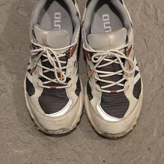ミズノ　WAVE MUJIN TL GTX　サイズ　25.5　ダークグレー×ダークブルーの画像