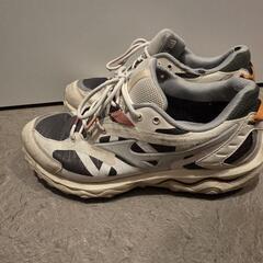 ミズノ　WAVE MUJIN TL GTX　サイズ　25.5　ダークグレー×ダークブルーの画像