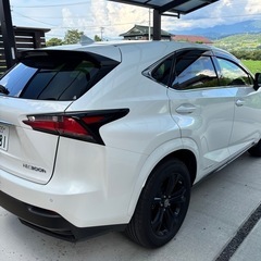 LEXUS レクサス　NX300 ハイブリッドの画像