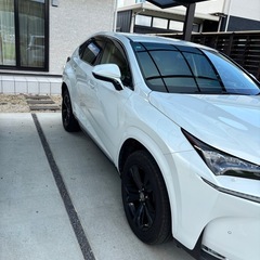 LEXUS レクサス　NX300 ハイブリッドの画像
