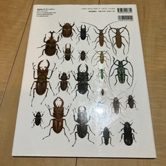 【7/30まで】夏休み自由研究②📗夏の虫夏の花の画像