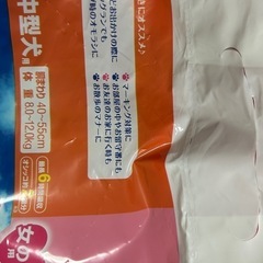 マナーウェア・女の子用・Lサイズの画像