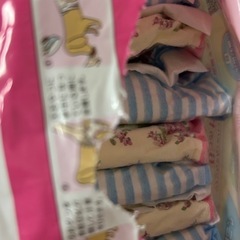 マナーウェア・女の子用・Lサイズの画像