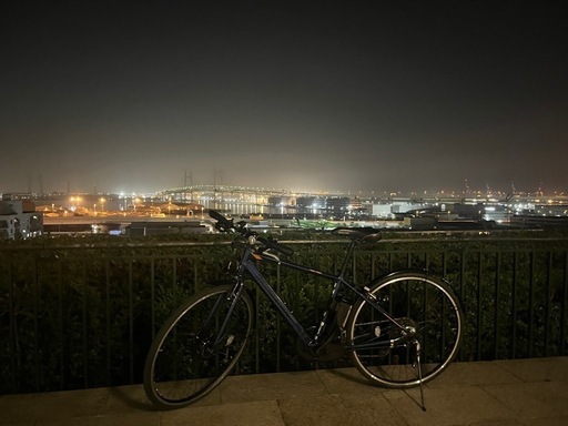 クロスバイク BRIDGESTONE TB1e