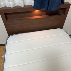 ベットの画像