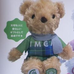 IMCA グリーン くまのぬいぐるみ テディベア お譲りします。＊石川県＊美川より＊期間限定の画像