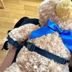 THE NORTH FACE  Baby Compact Carrierの画像