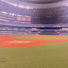 🥎🌞＼キャッチボール仲間ゆるっと募集！／🌞🥎 〜久しぶりで…