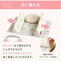 ファルスカ　ベッドインベッドの画像