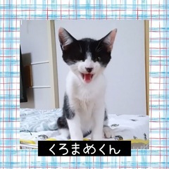 ❤️くろまめ君❤️3ヶ月