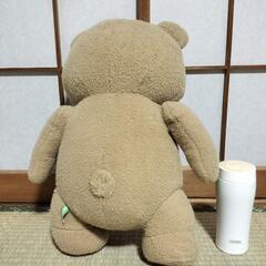 TEDのぬいぐるみの画像