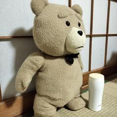TEDのぬいぐるみの画像