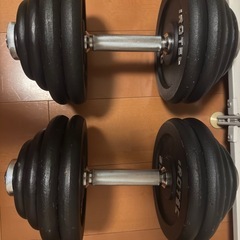 protectダンベル30キロ×2個の画像