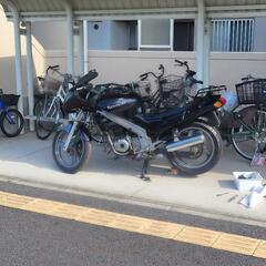 最終値下げ zzr250 埼玉県熊谷市 来週まで！の画像