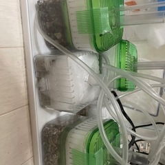 金魚水槽一式✖️3個分の画像