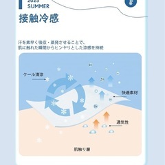 Tシャツ メンズ 半袖 夏服 無地 綿100% Lサイズ の画像