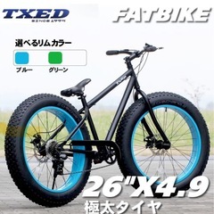 TXED 極太タイヤファットバイク　自転車　26インチの画像