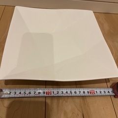 【大皿25cm】ニトリ大皿2枚の画像