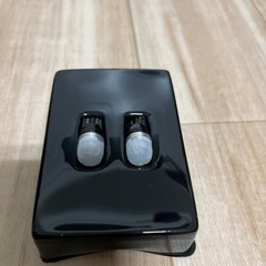 T10の画像