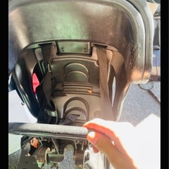 チャイルド。自転車用の画像