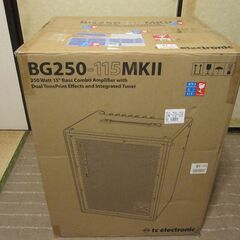 TC ELECTRONIC　BG250-115MKⅡ　極上コンディションです。の画像