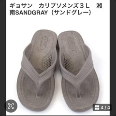 ギョサンの画像