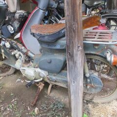 ホンダ スーパーカブ　Ｈｏｎｄａ　supercub 50 / ジャンクの画像