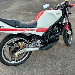 RZ250R✨人気の初期型❗️キャブOH済み　下取りや配達可能ですの画像