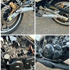 RZ250R✨人気の初期型❗️キャブOH済み　下取りや配達可能ですの画像