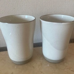 【美品】九谷焼　ペアタンブラー　椿　の画像