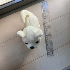 動くチワワのおもちゃの画像